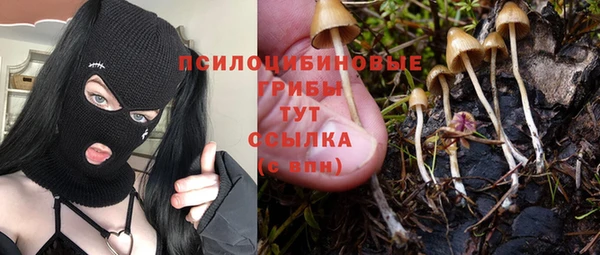 mdpv Балахна