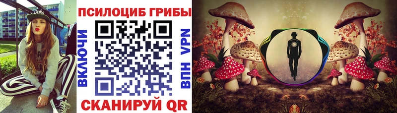 купить закладку  Петров Вал  Галлюциногенные грибы Magic Shrooms 